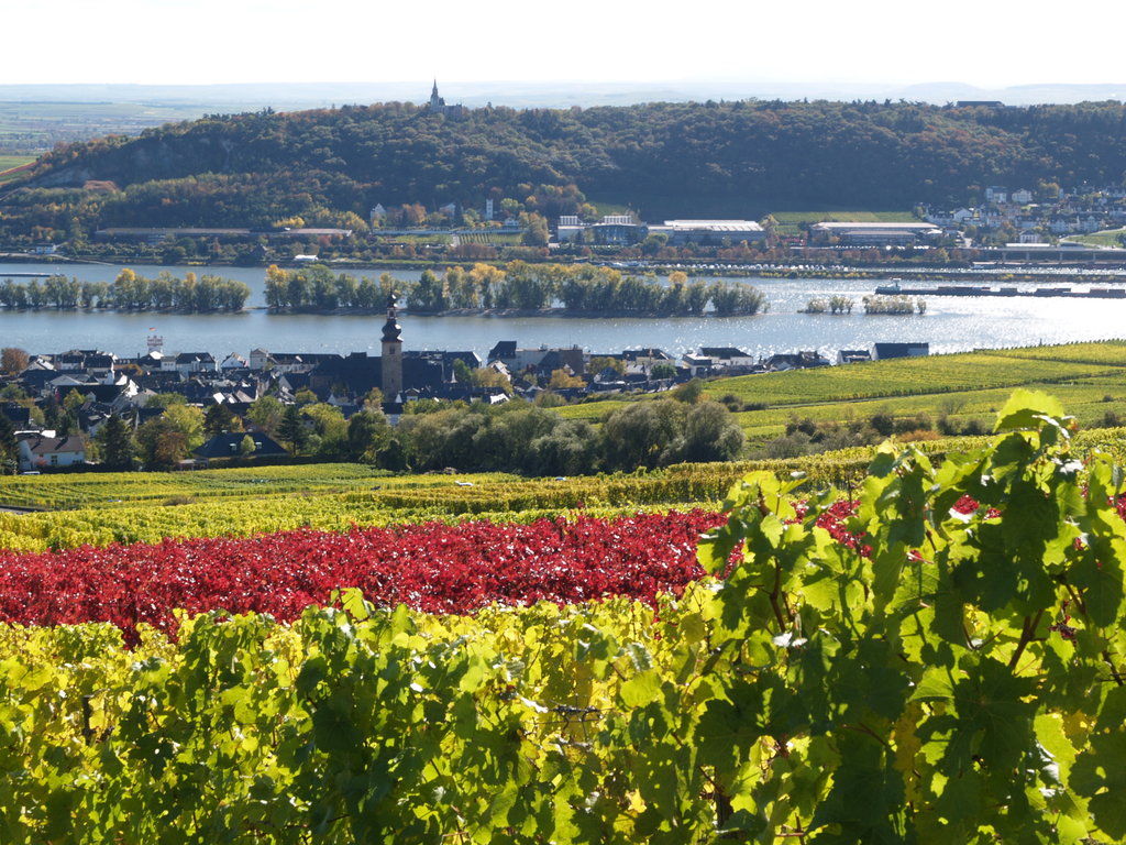 Ringhotel Central - Superior Rüdesheim am Rhein Exterior foto